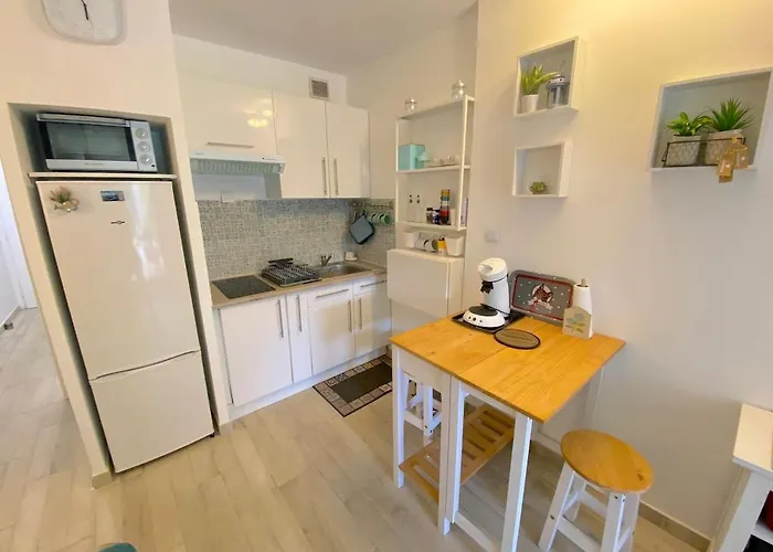 Avec Piscine Et Jardin